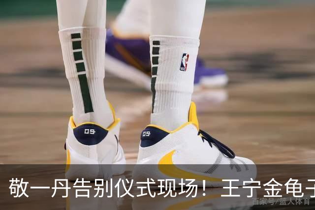 敬一丹告别仪式现场！王宁金龟子现身送别，多位主持人忍不住哭泣